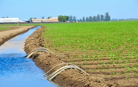 Périmètre irrigué